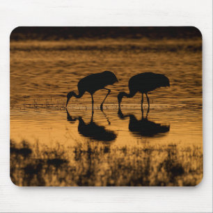 Mousepad Gruas Silhuetadas pelo Sunset