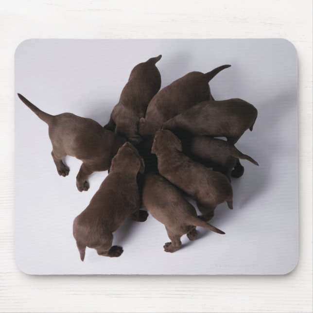 Mousepad Grupo de cachorros com cabeças juntas (Frente)