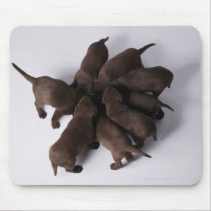 Mousepad Grupo de filhotes de cachorro com cabeças junto