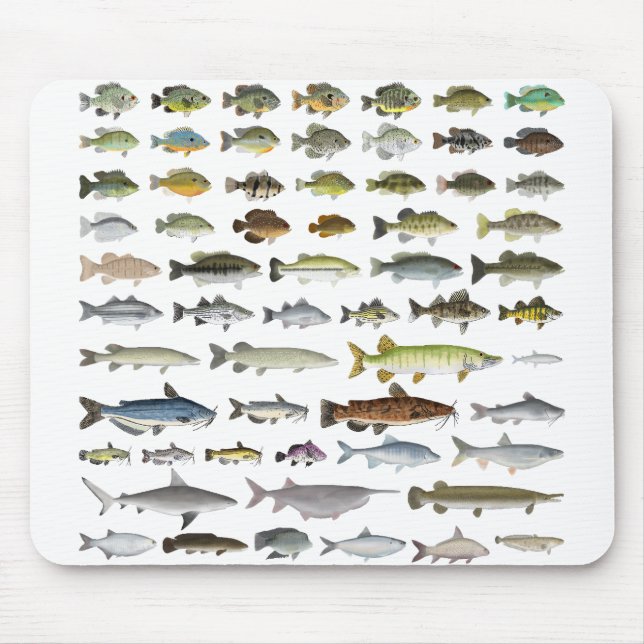 Mousepad Grupo de Peixes Águas frescas da América do Norte (Frente)