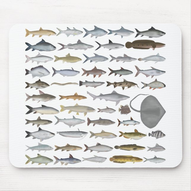 Mousepad Grupo de Peixes de Água Doce da Ásia do Sul (Frente)