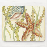 Mousepad Grupo de Shell Multicolores<br><div class="desc">Charikilia Zarris é uma artista talentosa conhecida por sua trabalho de arte oceânica. As imagens dela são pacíficas e calmas, relaxando-vos com cada fotografia. Pegue esta trabalho de arte náutica com uma estrela-do-mar e uma concha sendo o centro de tudo, junto com uma bela alga. Esta imagem ficará excelente em...</div>