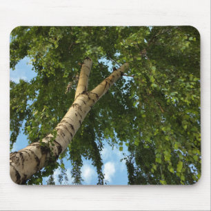 Mousepad guarda-chuva de pássaro