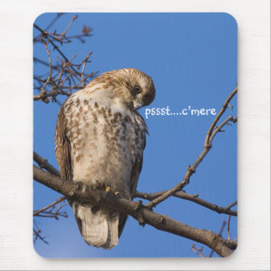 Mousepad Guarda do rato do Redtail
