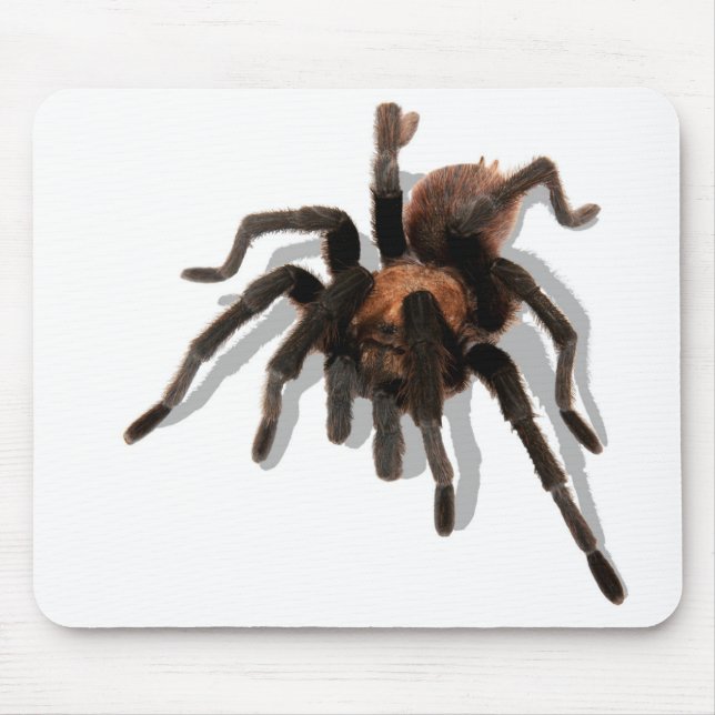 Mousepad Guardian Tarantula (Frente)