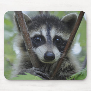 Mousepad Guaxinim - #1005