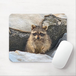 Mousepad Guaxinim em Rochas da Praia no Inverno