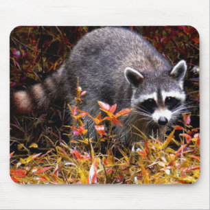 MOUSEPAD GUAXINIM NO OUTONO