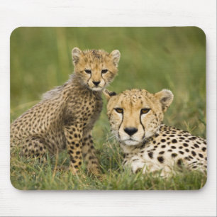 Mousepad Guepardo, Acinonyx jubatus, com filhote