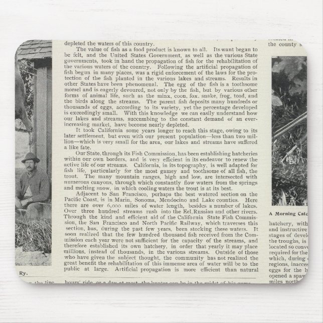 Mousepad Guerneville, Califórnia (Frente)