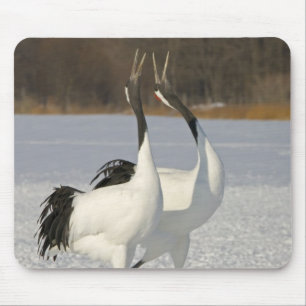Mousepad Guindastes japoneses que dançam na neve