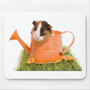 Mousepad guinea pigs tem-se lawn