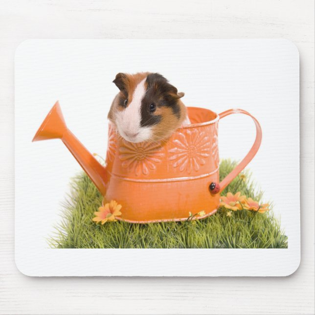 Mousepad guinea pigs tem-se lawn (Frente)