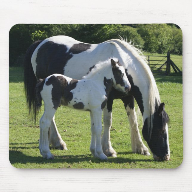 Mousepad Gypsy Vanner Horse Mare and Foal (Frente)