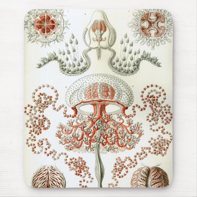 Mousepad Haeckel (Frente)