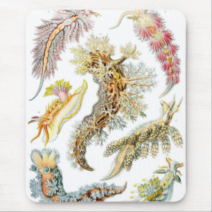 Mousepad Haeckel