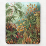 Mousepad Haeckel<br><div class="desc">Haeckel mousepad.</div>
