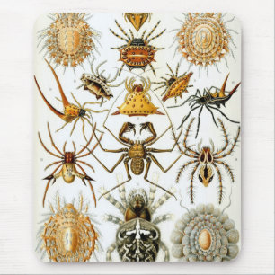 Mousepad Haeckel