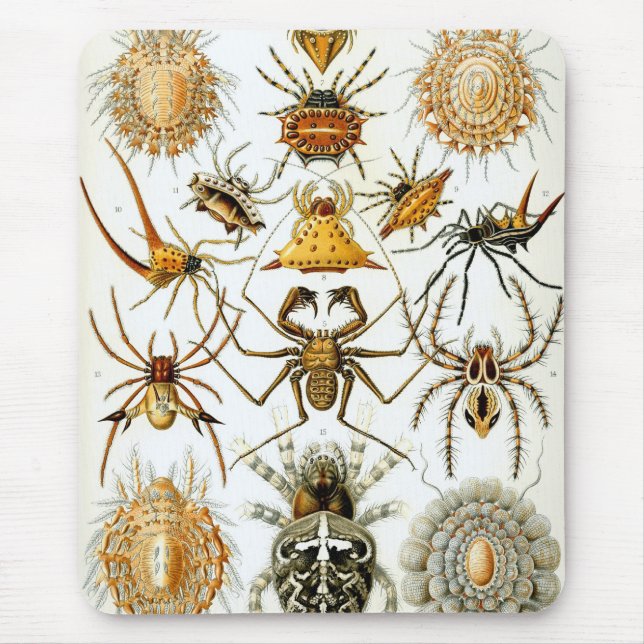 Mousepad Haeckel (Frente)