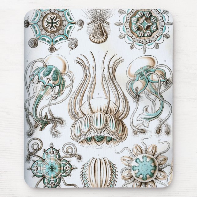 Mousepad Haeckel (Frente)
