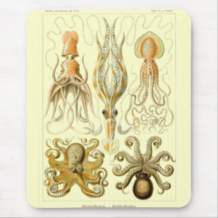 Mousepad Haeckel