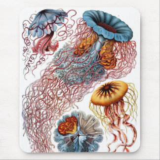 Mousepad Haeckel