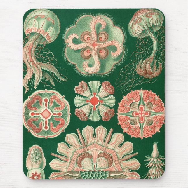Mousepad Haeckel (Frente)