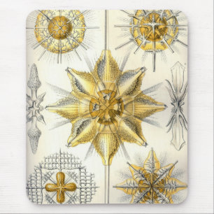 Mousepad Haeckel