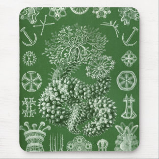 Mousepad Haeckel