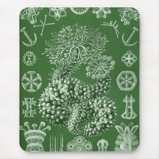 Mousepad Haeckel (Frente)