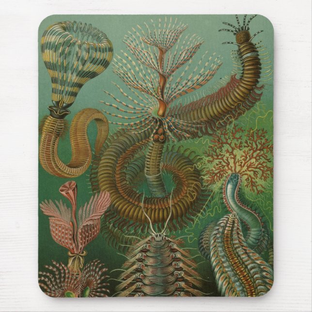 Mousepad Haeckel Centipedes (Frente)