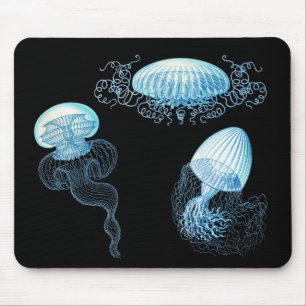 Mousepad Haeckel Jellyfish