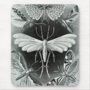 Mousepad Haeckel Moths
