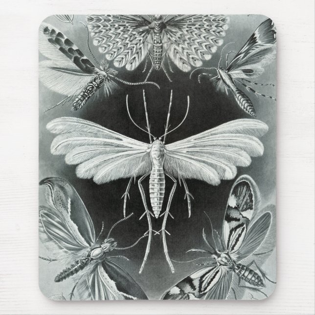 Mousepad Haeckel Moths (Frente)