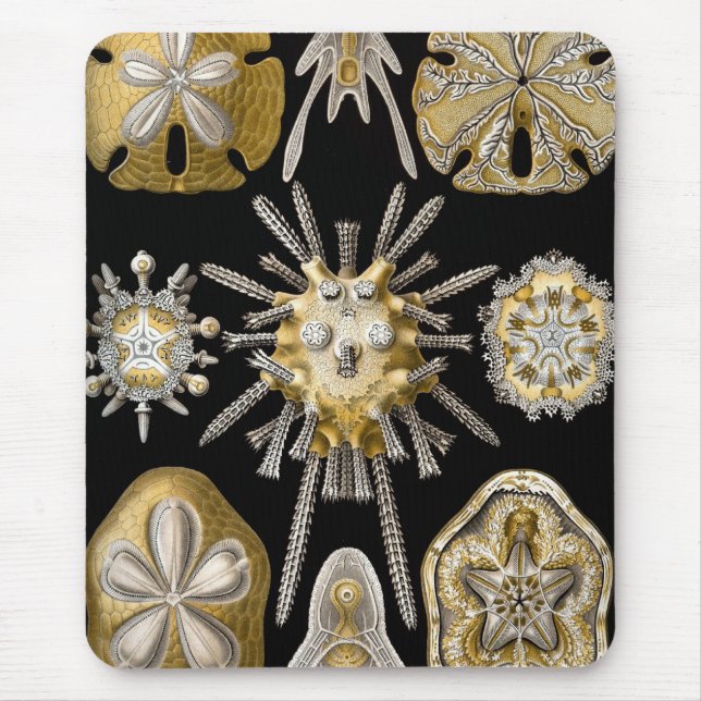 Mousepad Haeckel Sealife (Frente)
