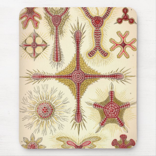 Mousepad Haeckel Vintage (Frente)