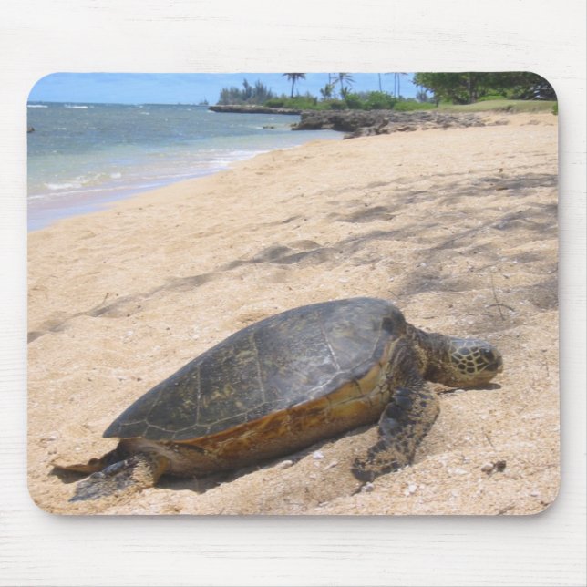 Mousepad Haleiwa Honu (Frente)