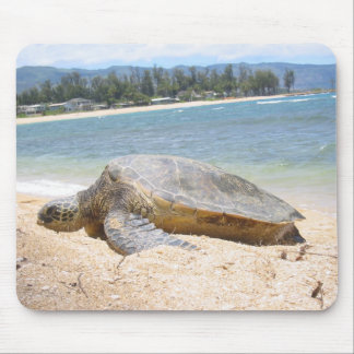 Mousepad Haleiwa Honu no último dia