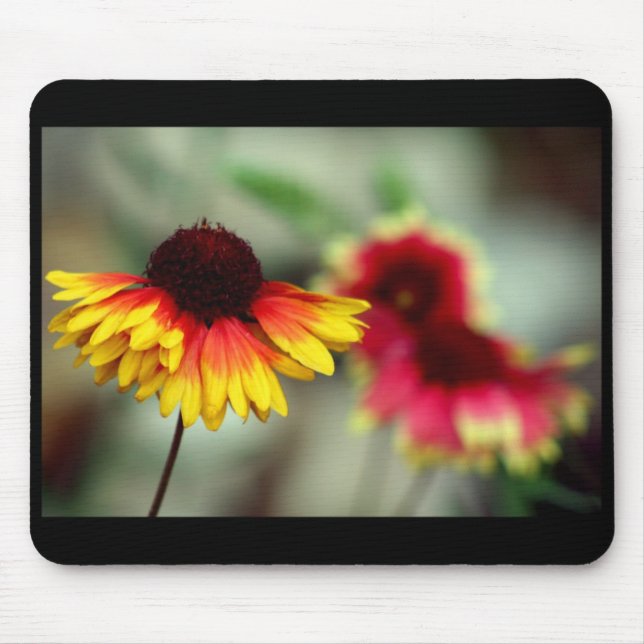 mousepad halfdaisy (Frente)