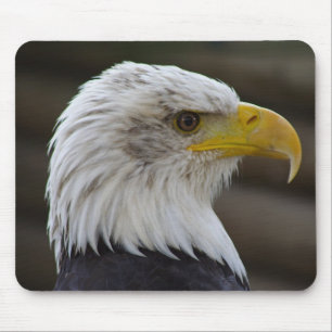 Mousepad Haliaeetus leucocephalus