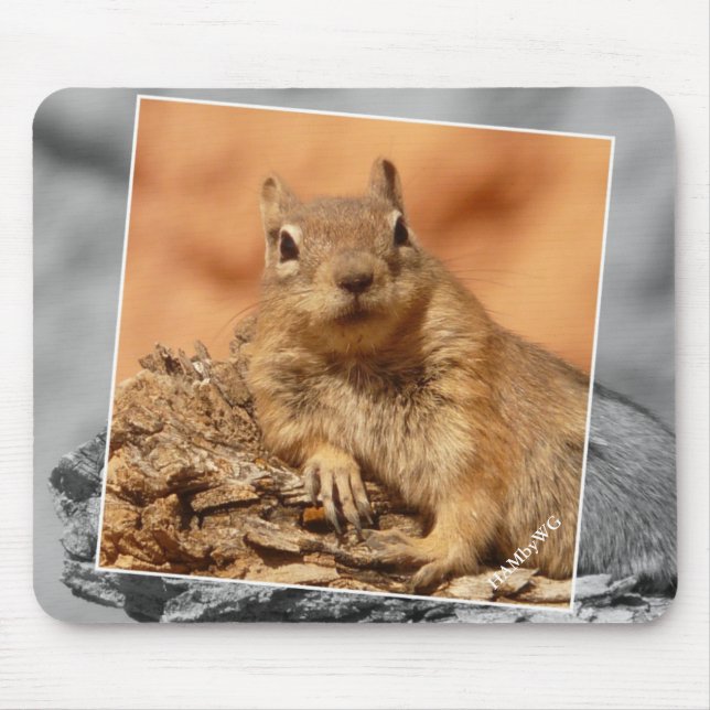 Mousepad HAMbyWG - Esquilo famoso - Pad do mouse (Frente)