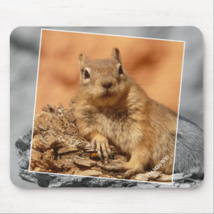 Mousepad HAMbyWG - esquilo famoso - tapete do rato