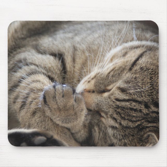 Mousepad HAMbyWG - Pad do Mouse - Gatinho Cuddling (Frente)
