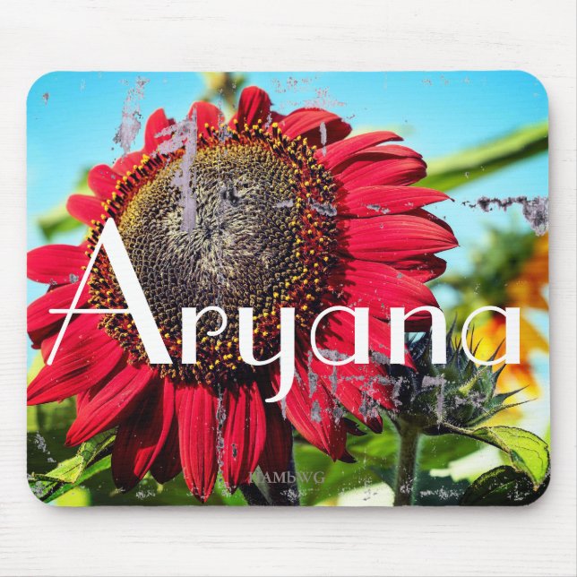 Mousepad HAMbyWG - Pad do mouse - Girassol vermelho (Frente)