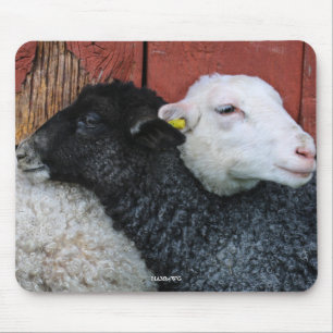 Mousepad HAMbyWG - tapete do rato dos carneiros brancos das