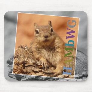 Mousepad HAMbyWG - tapete do rato - esquilo famoso