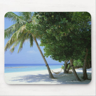 Mousepad Hammock e Palm Tree