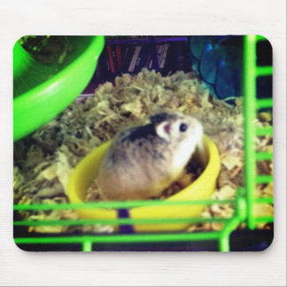Mousepad Hamster de Robo