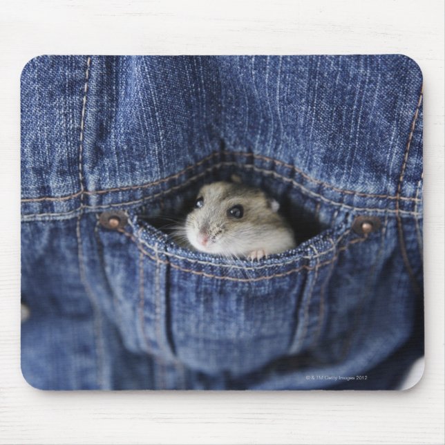 Mousepad Hamster no bolso (Frente)