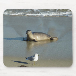 Mousepad Harbor Seal em La Jolla California